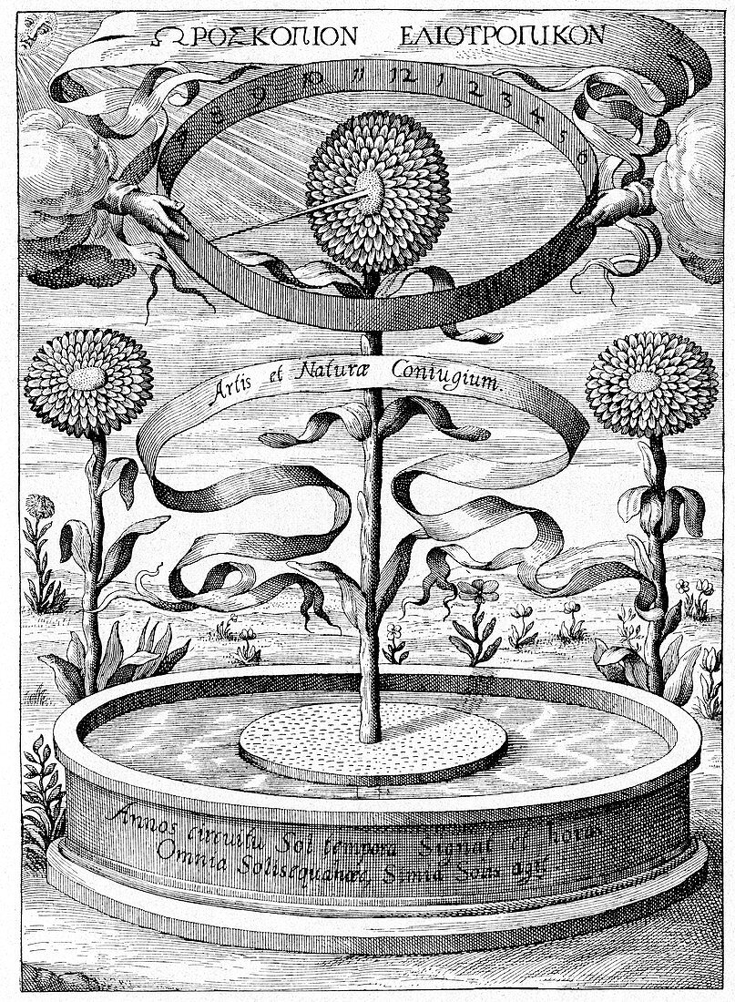 17th Century sundial,artwork