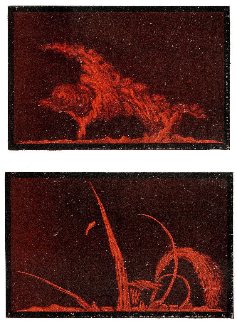 Solar prominences,historical artwork