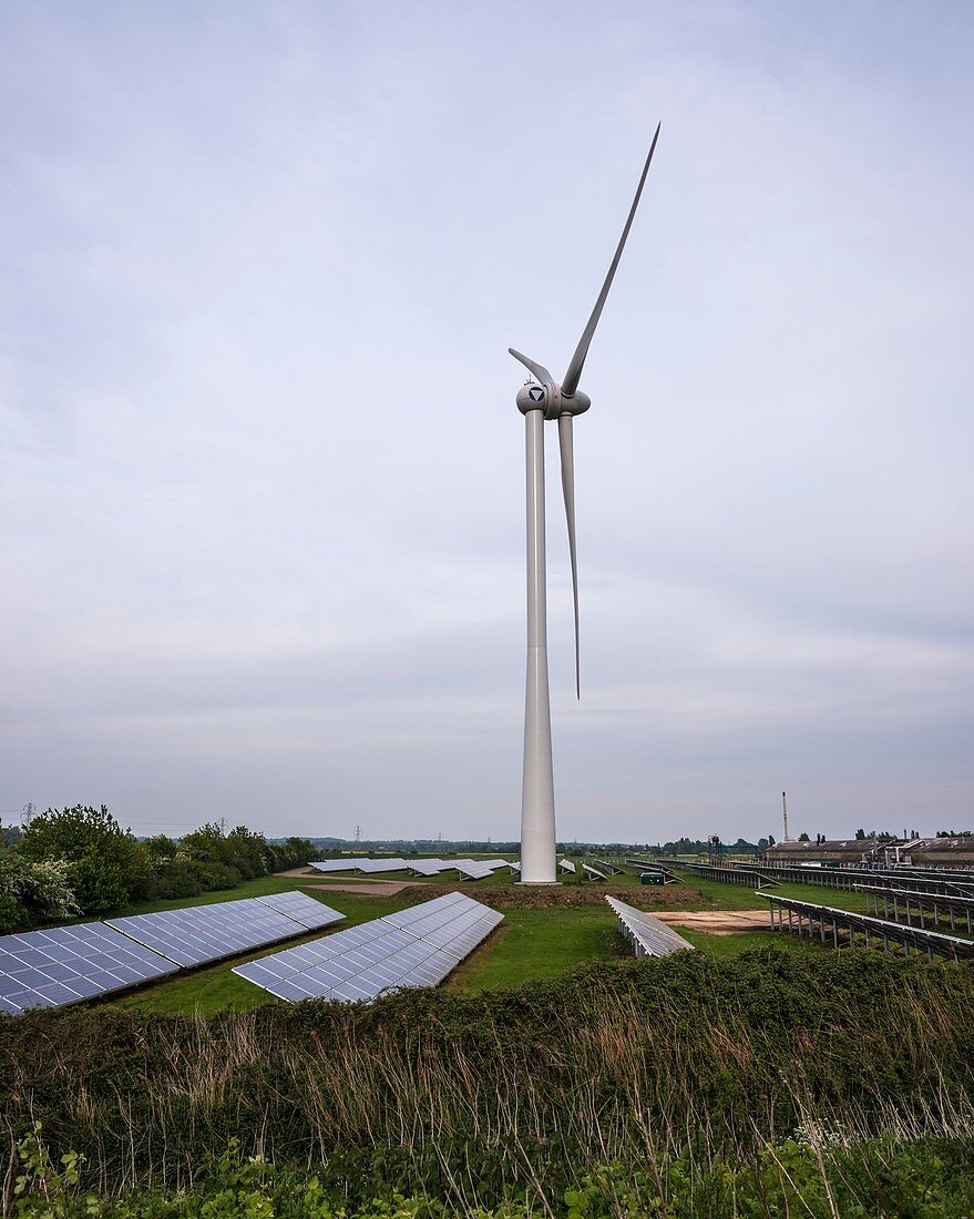 Hybrid clean energy plant