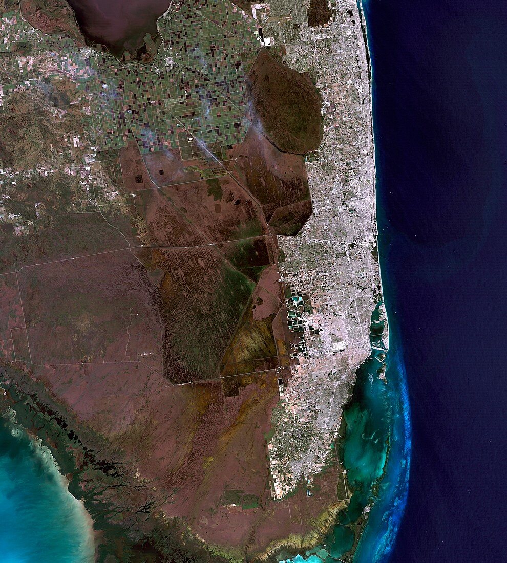 Florida,Landsat 5 image