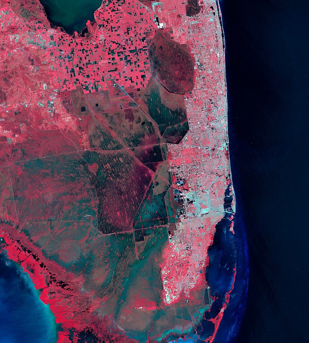 Florida,infrared Landsat 5 image