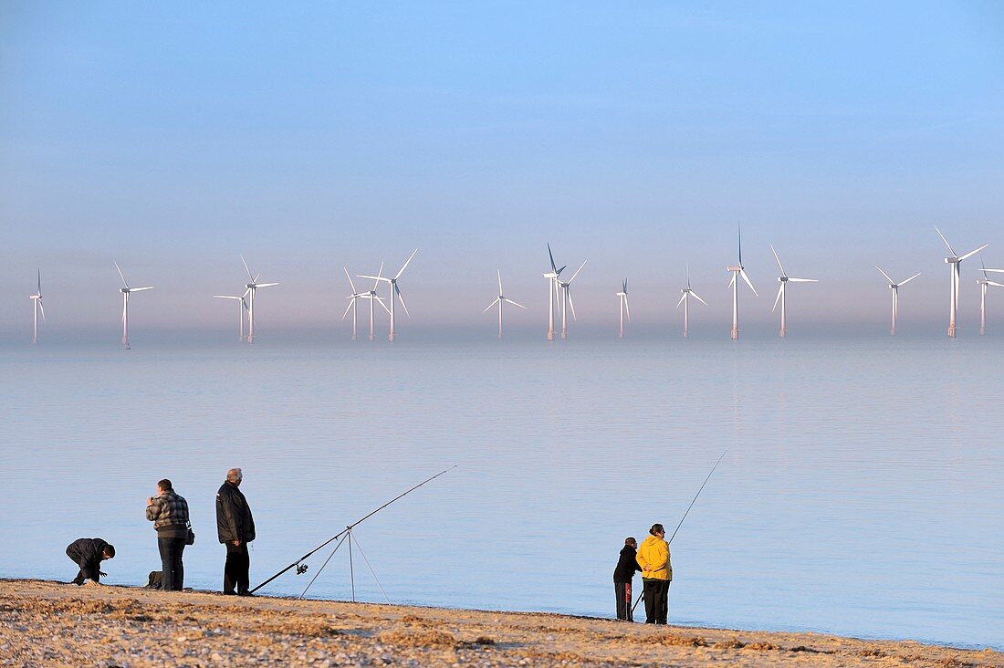 Offshore wind farm