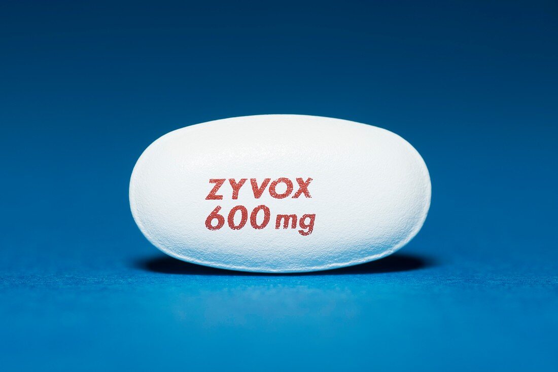 Zyvox antibiotic drug