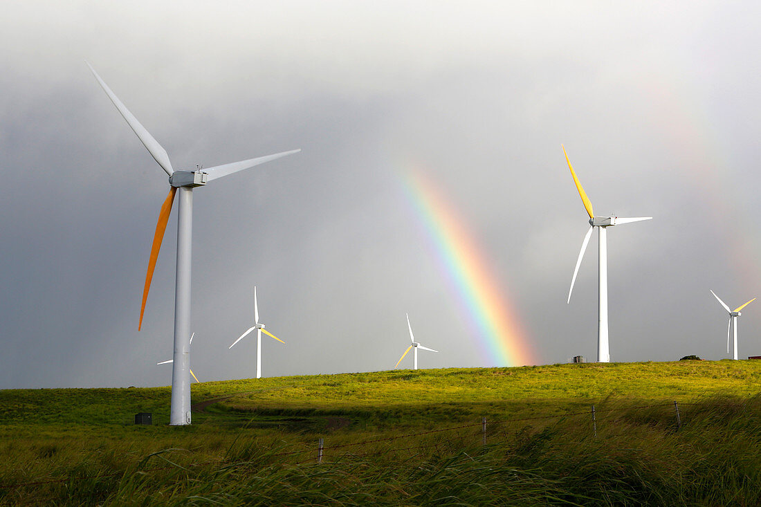 Wind turbines and rainbow