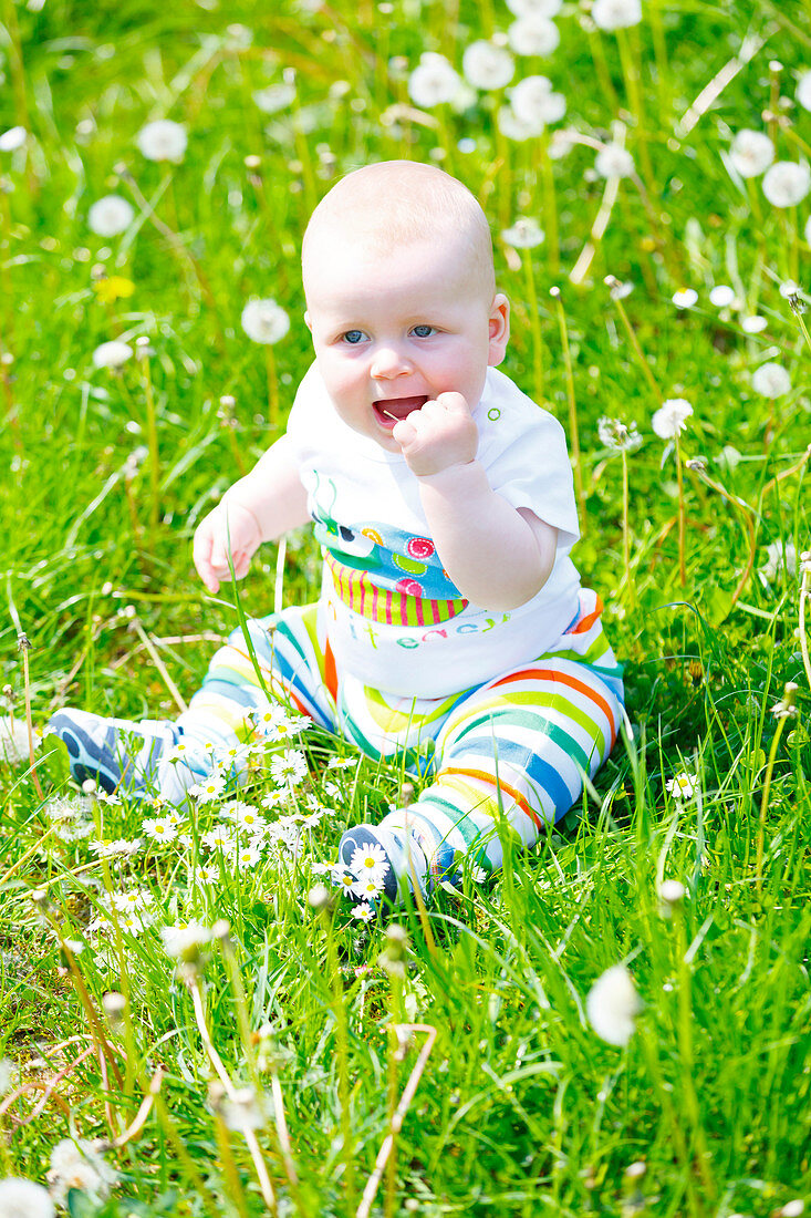 Baby boy with dandelions