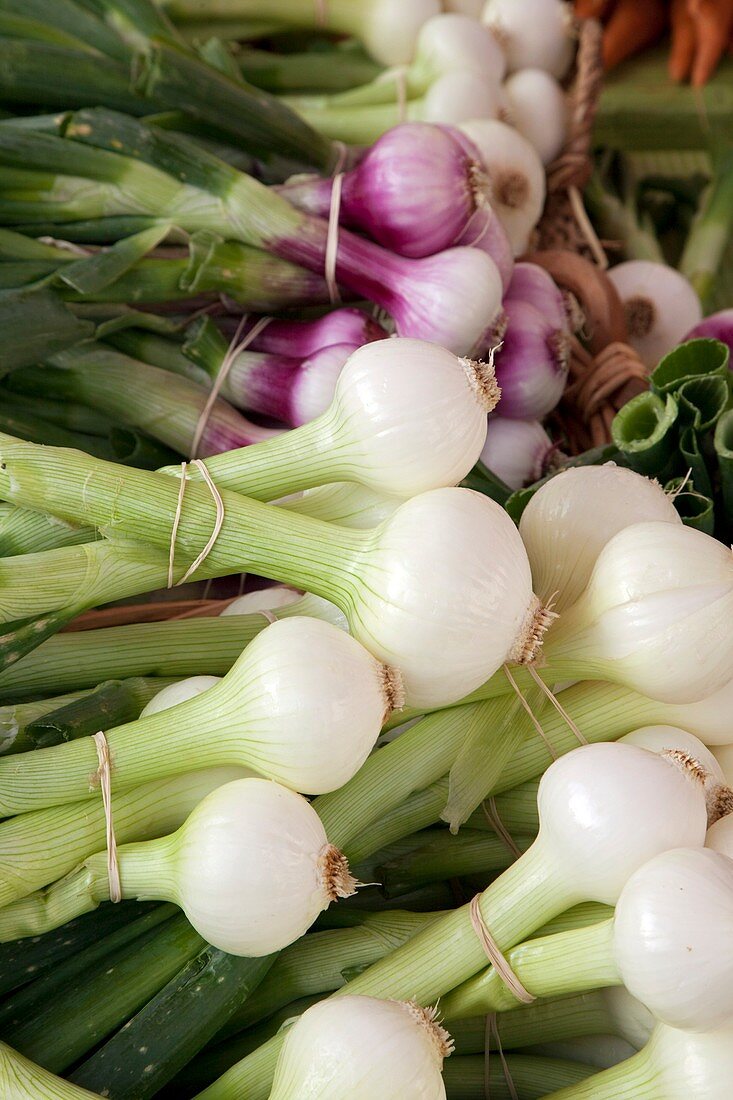 Salad onions