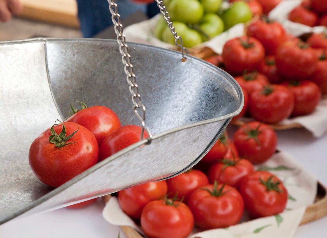 Tomatoes on sale at a farmers market