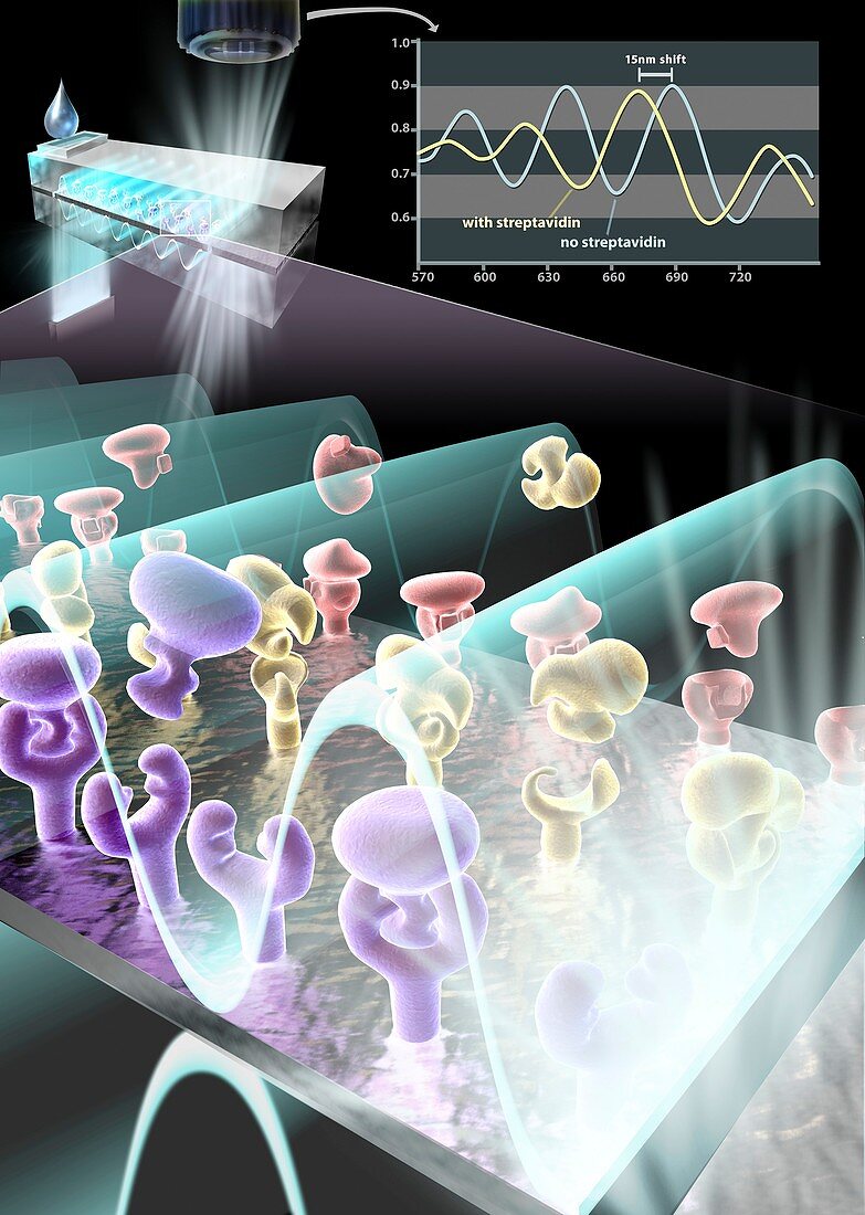 Biosensor chip,illustration