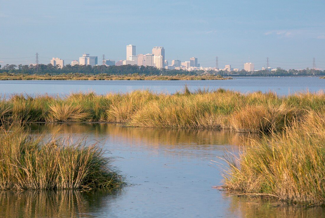 New Orleans and surrounding wetlands