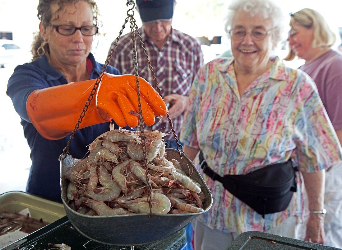 Selling shrimp,Louisiana,USA