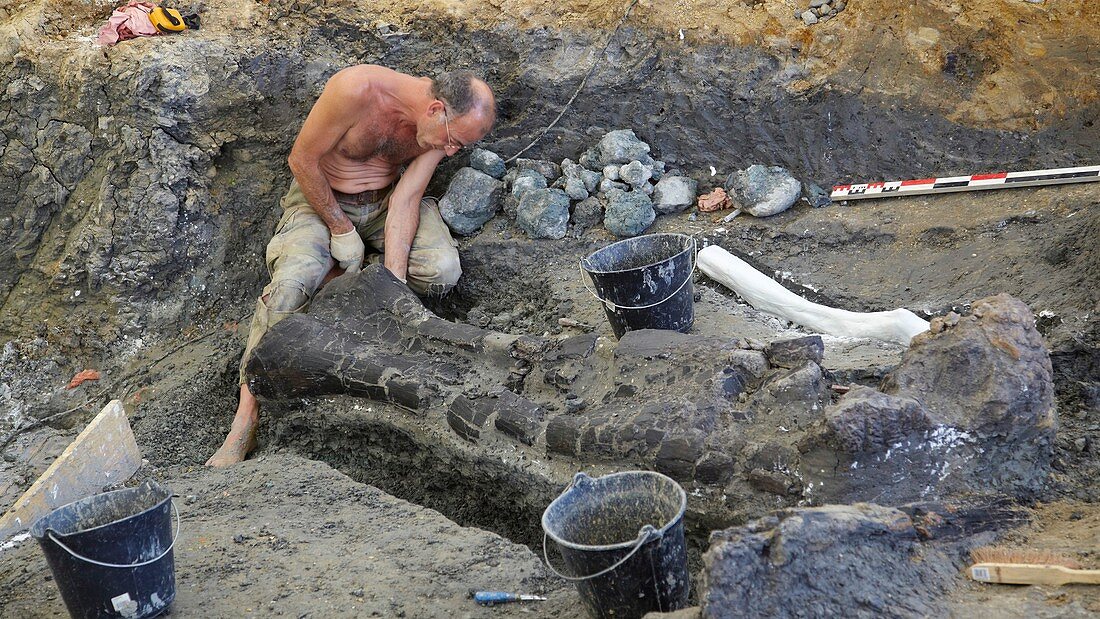 Palaeontology excavation,France