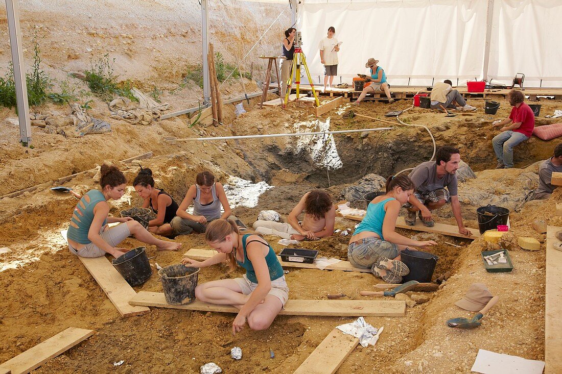 Palaeontology excavation,France