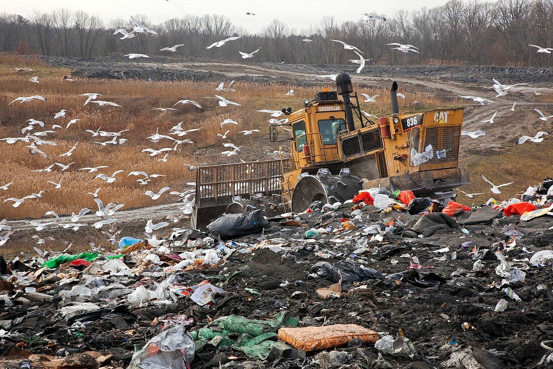 Landfill site,USA