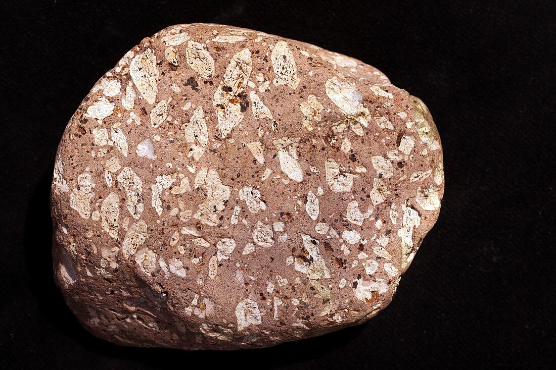 Andesite pebble