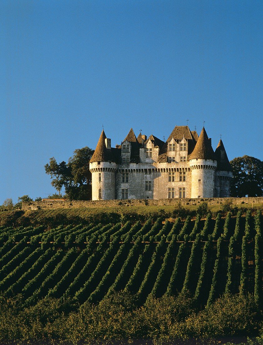 Das romantische Château de Monbazillac, Dordogne, Frankreich