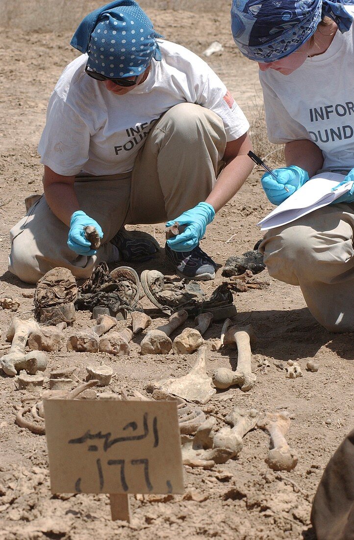Forensic investigation,Iraq