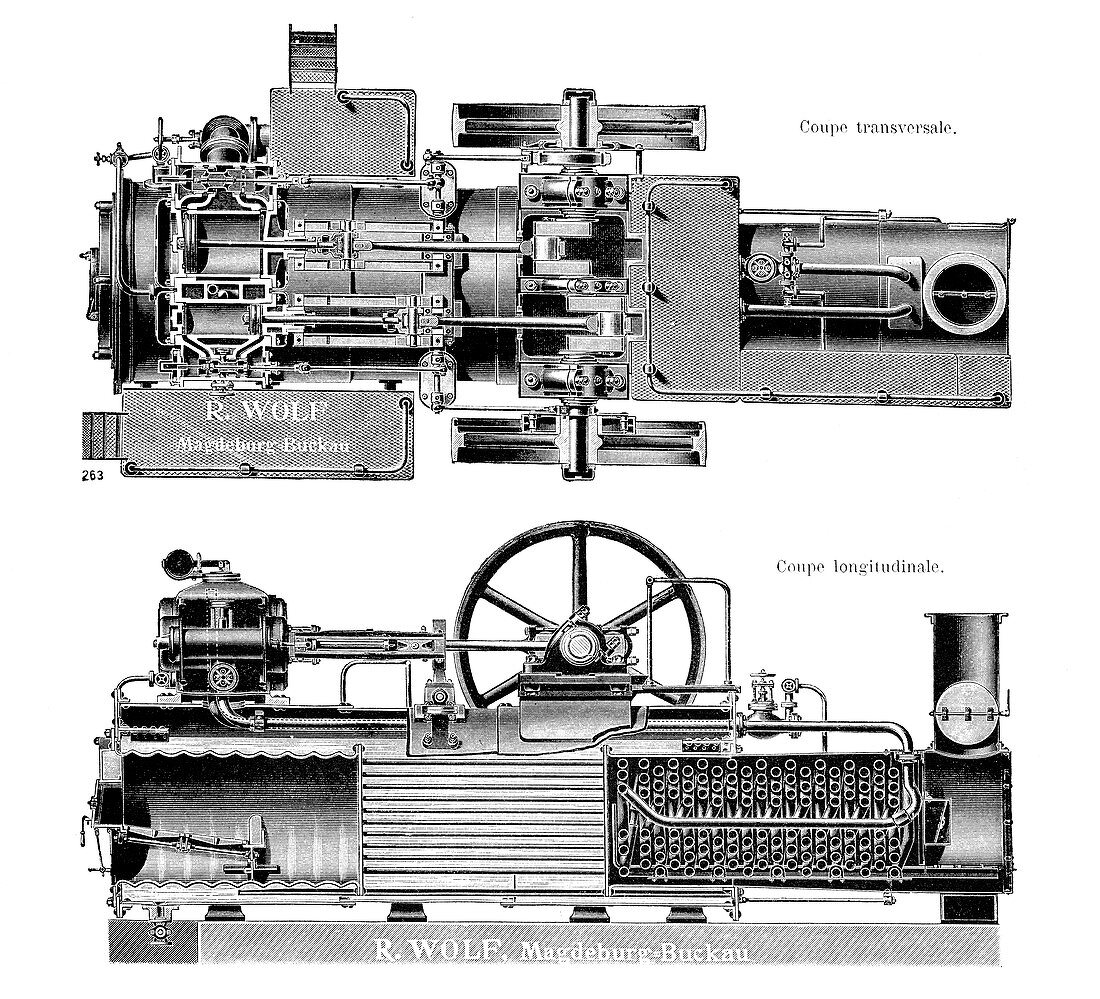 Wolf steam engine,19th century