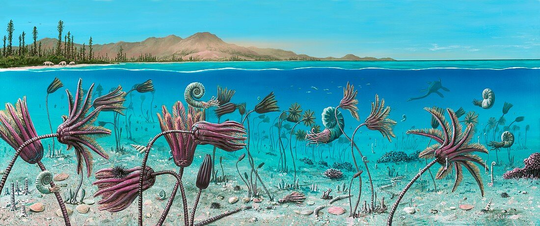 Triassic land and marine life,artwork