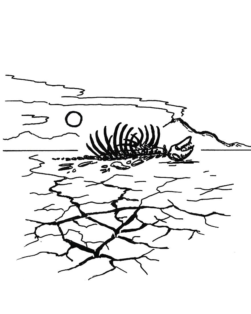 Permian extinction,illustration
