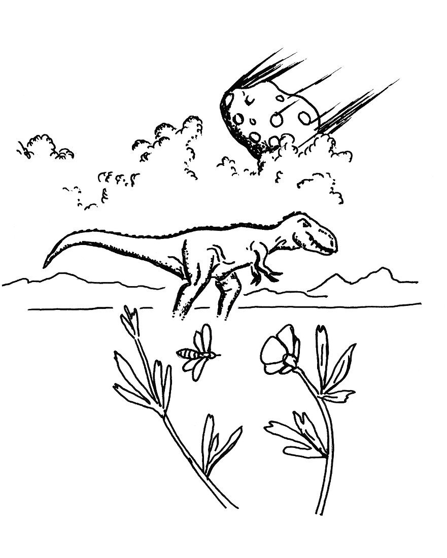 T.rex,Asteroid and Pollination,artwork