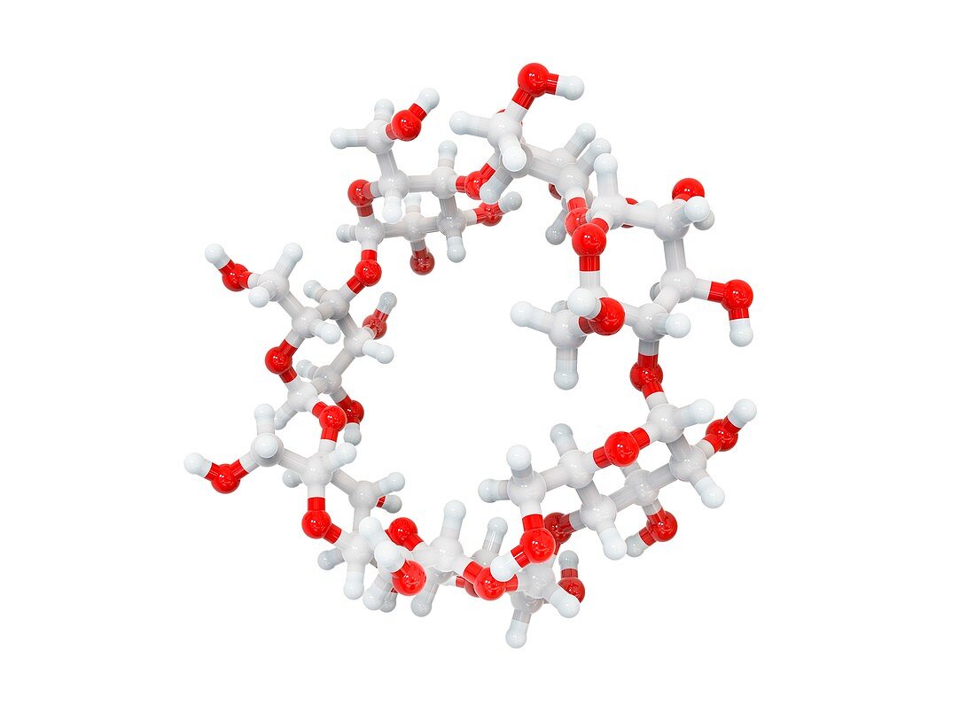 Beta-cyclodextrin molecule