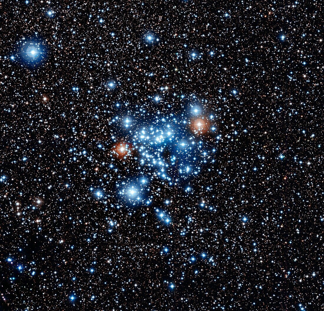 Open star cluster NGC 3766,optical image