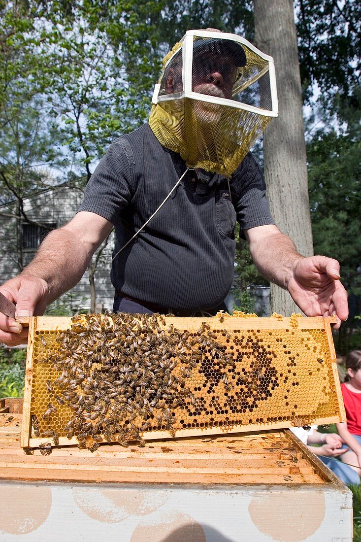 Beekeeping class