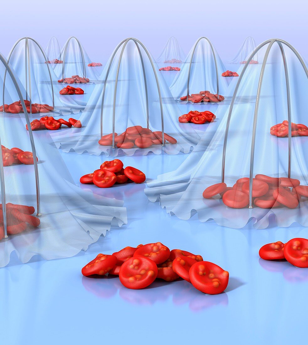 Malaria prevention,conceptual image