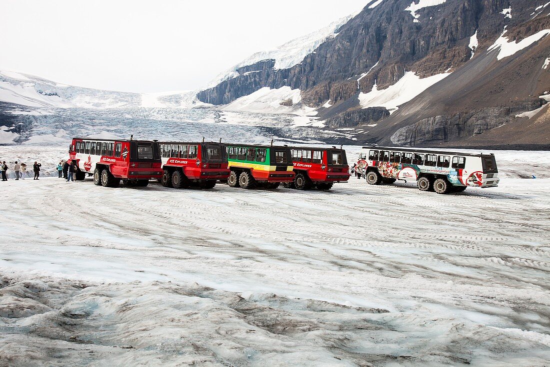 Tourist ice buggies on Athabasca glacier