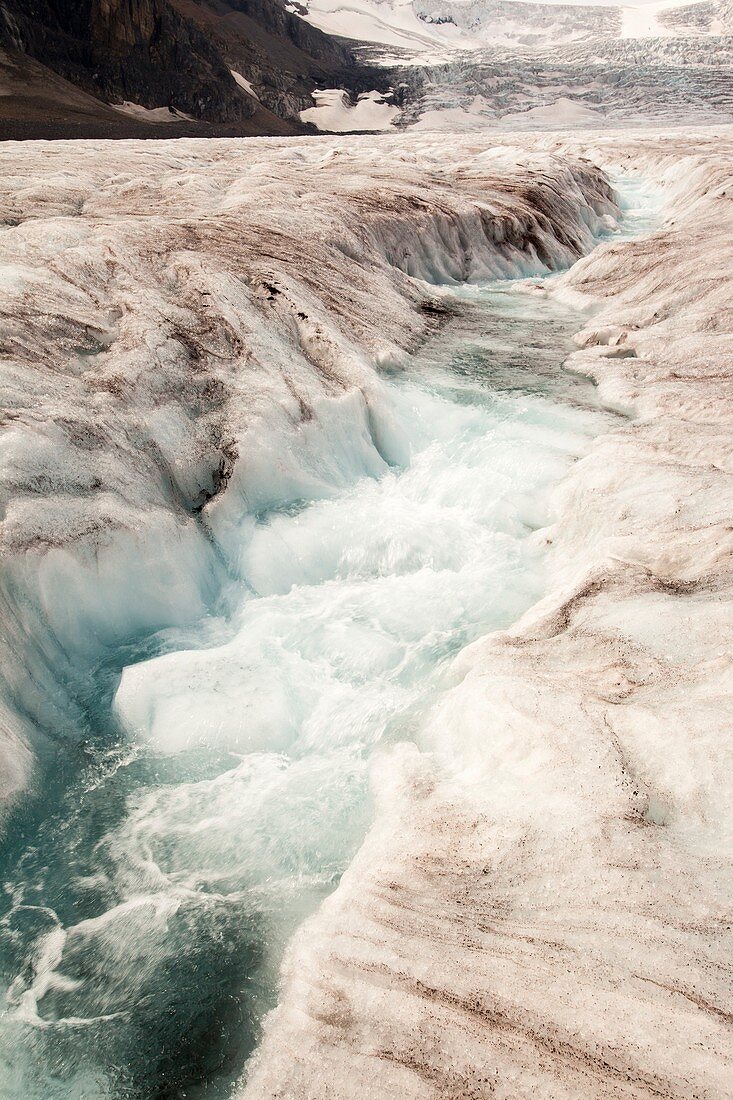 Meltwater channels on Athabasca glacier