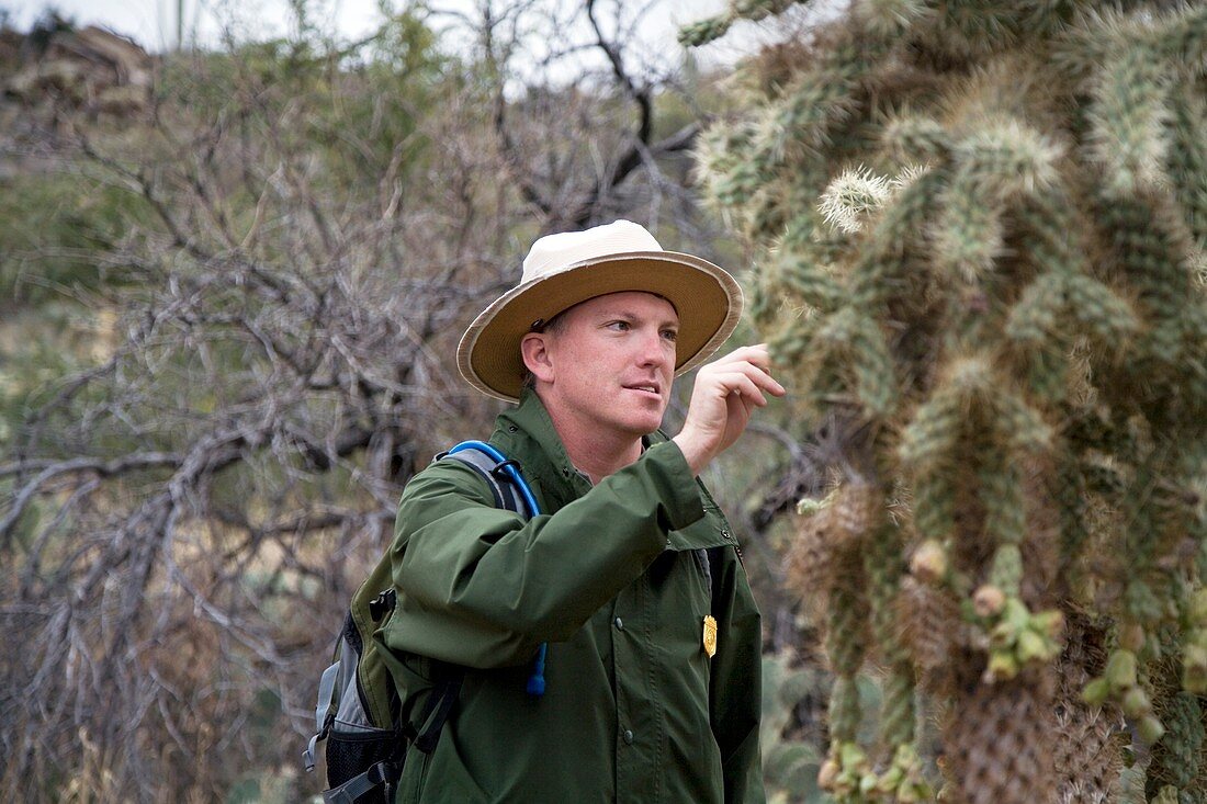 Saguaro National Park ranger