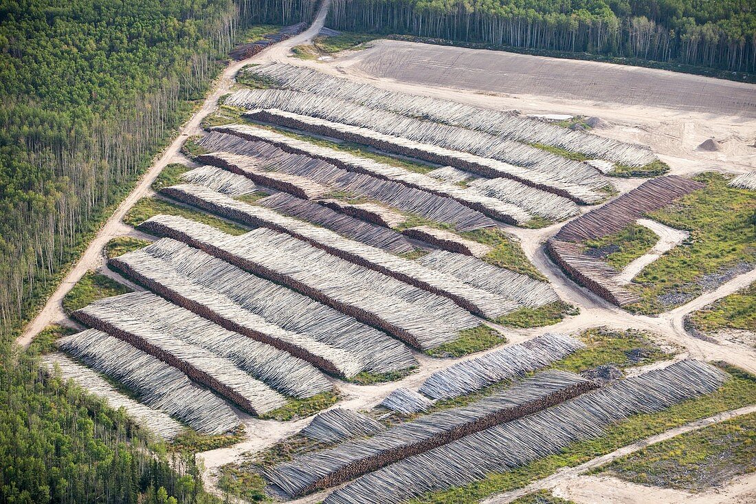 Boreal forest felled for a tar sands mine