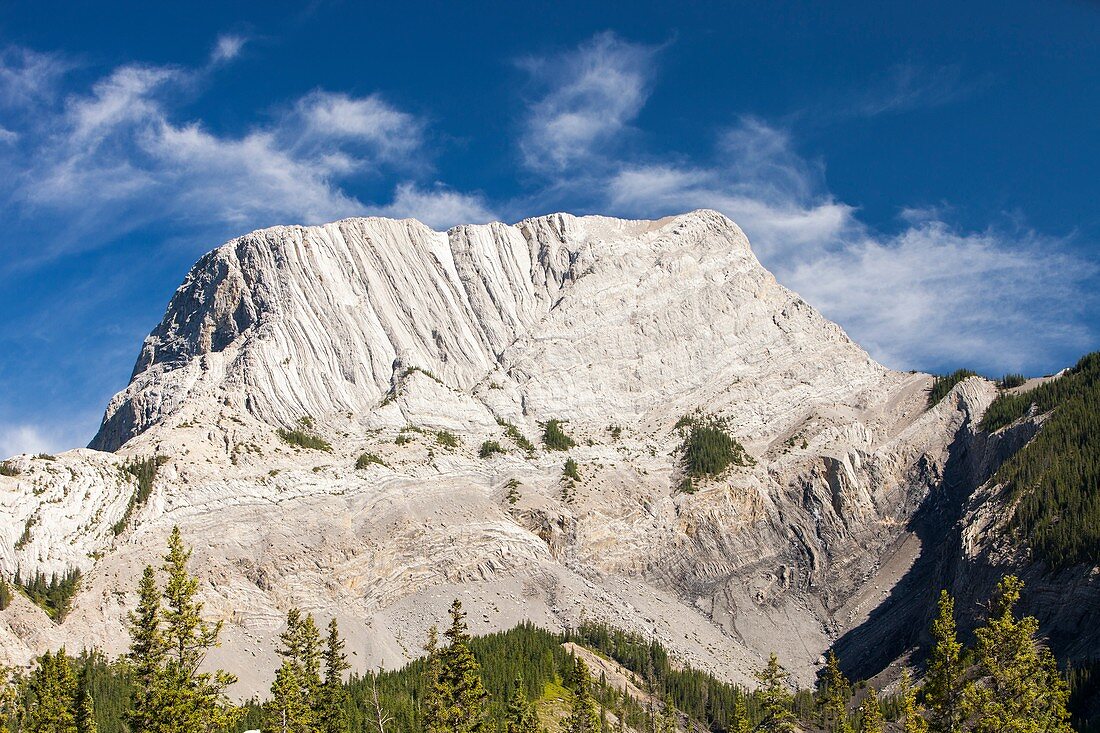 Roche Miette in the Canadian Rockies