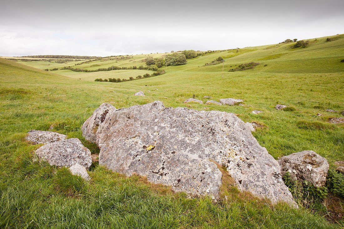 The Valley of Stones near Portesham