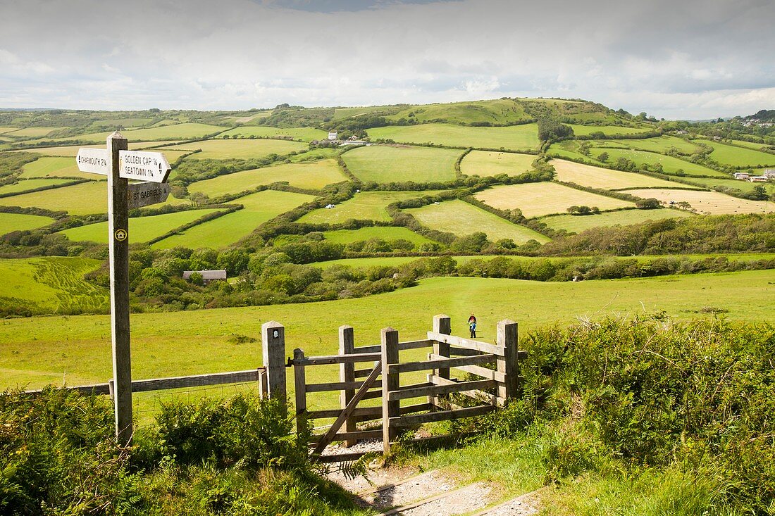 Section of the South West Coast Path