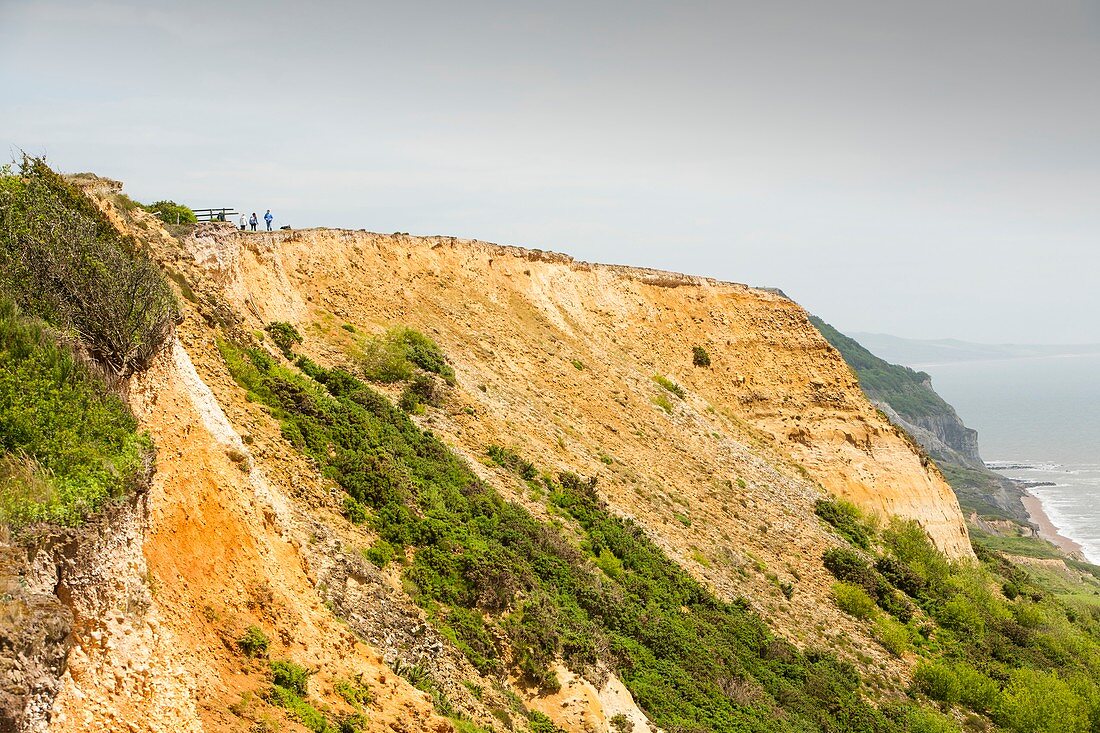 Coastal cliff on the Jurassic Coast