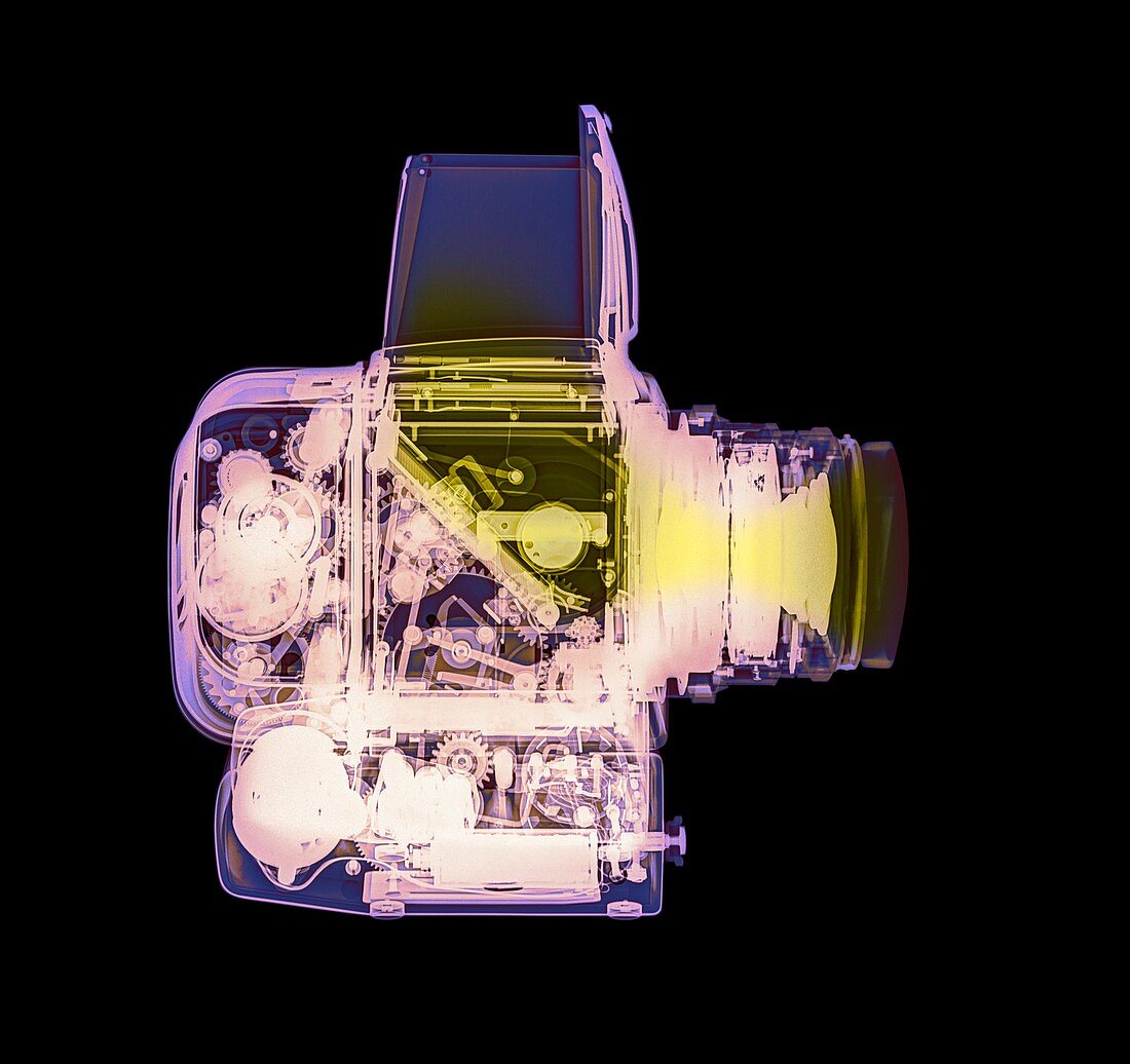 Hasselblad medium format camera,X-ray