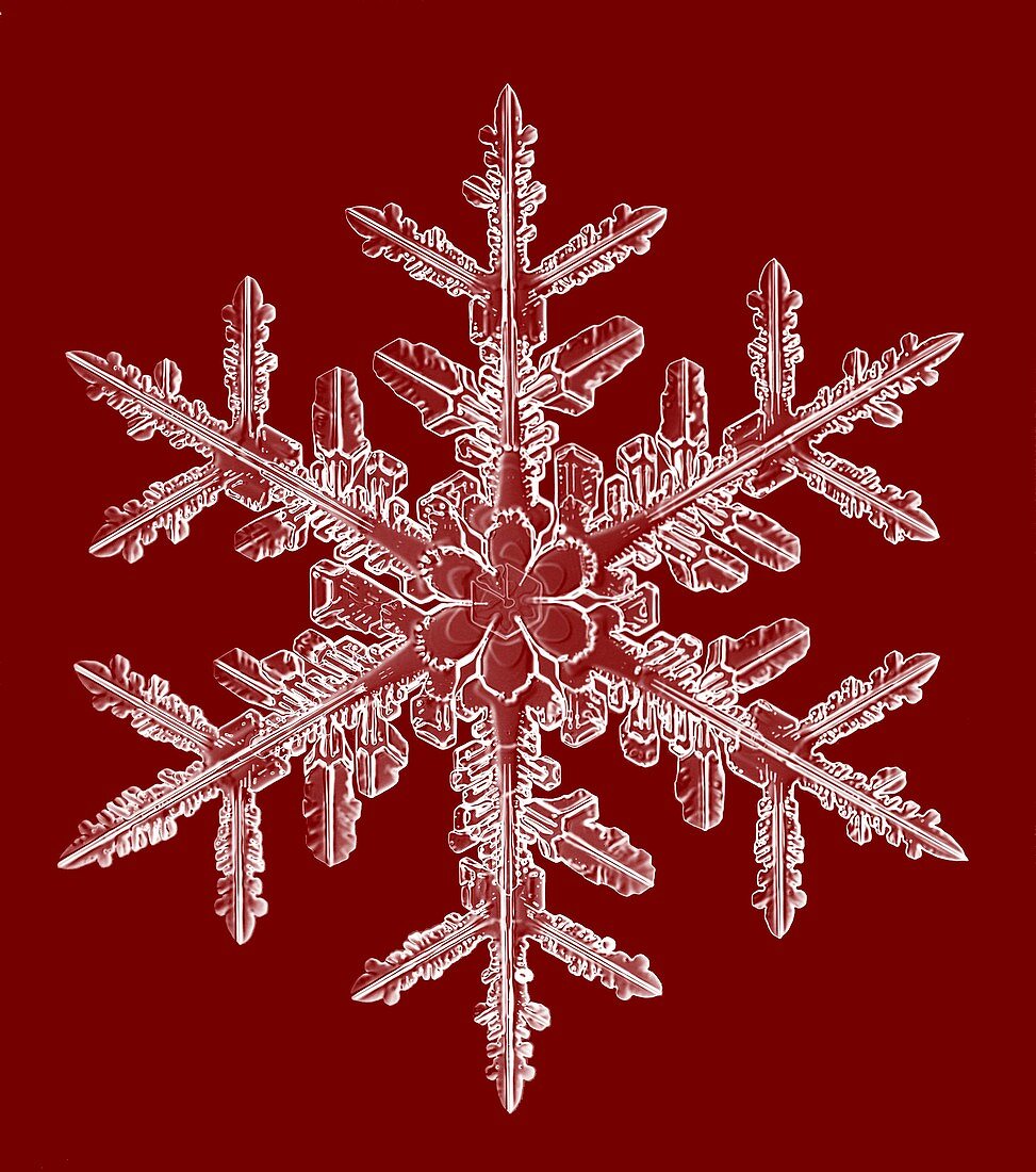 Snowflake,light micrograph