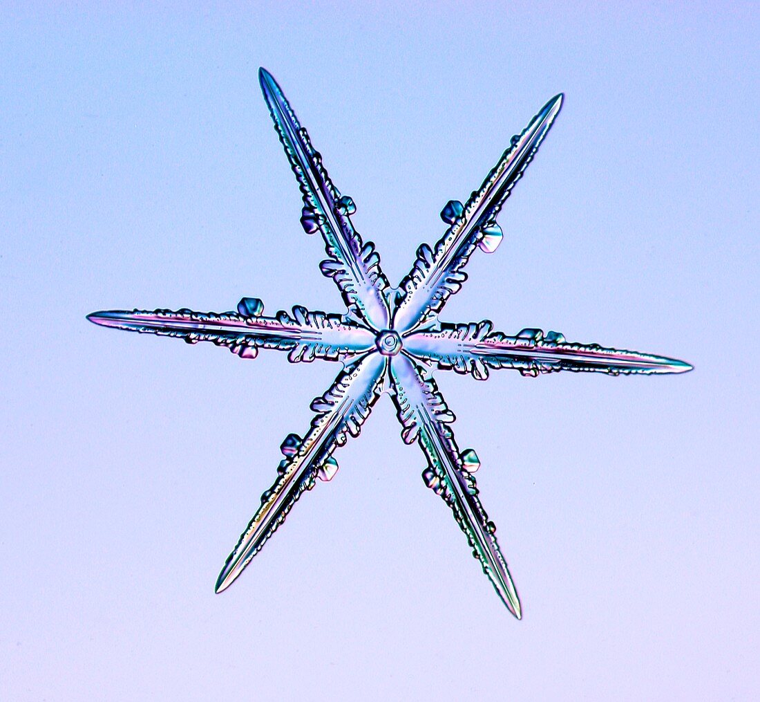 Snowflake,light micrograph