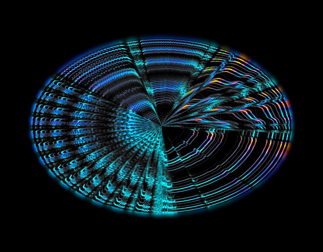 Cassin's sparrow song,wavelet graph