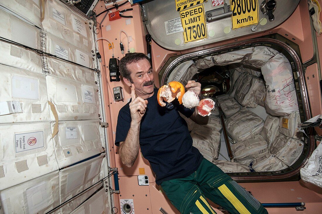 ISS astronaut with fruit