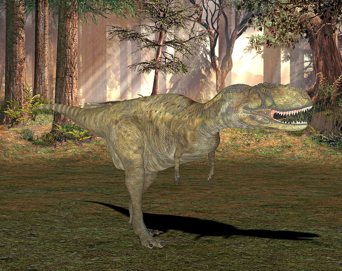 Abelisaurus dinosaur,illustration
