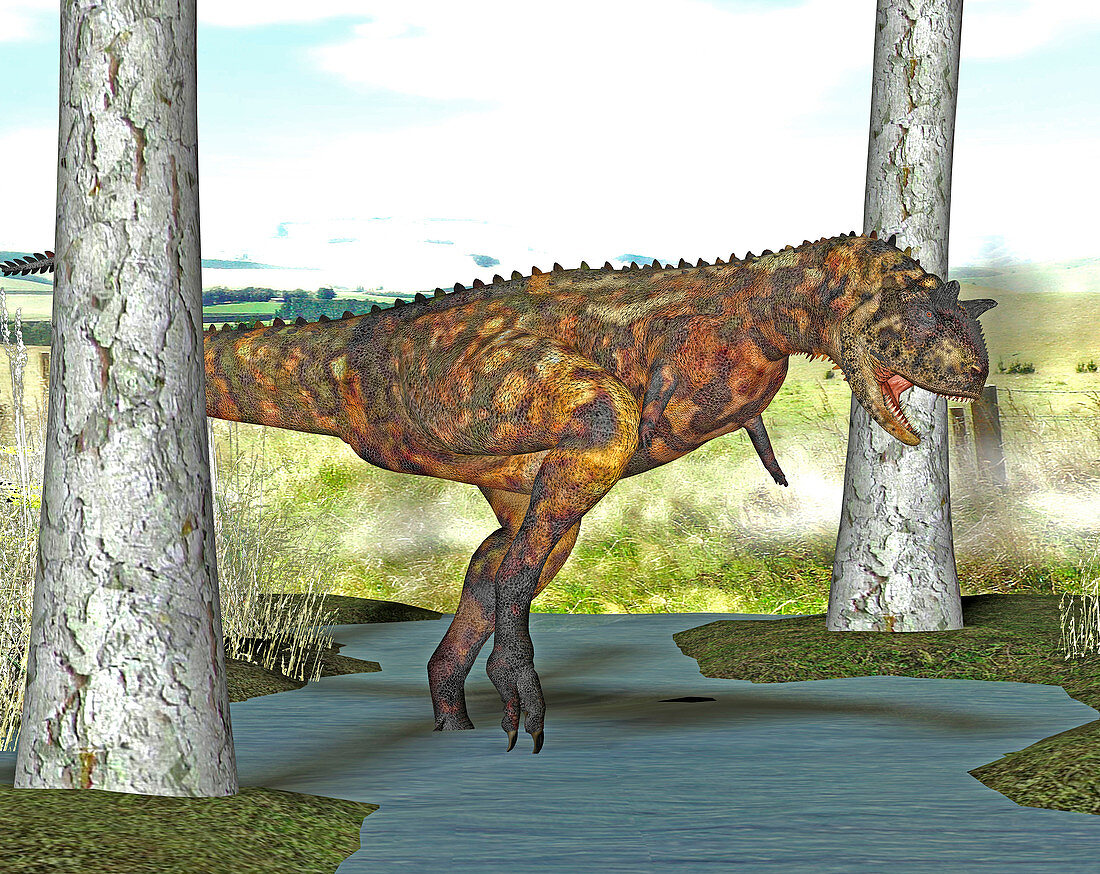 Carnotaurus dinosaur,illustration