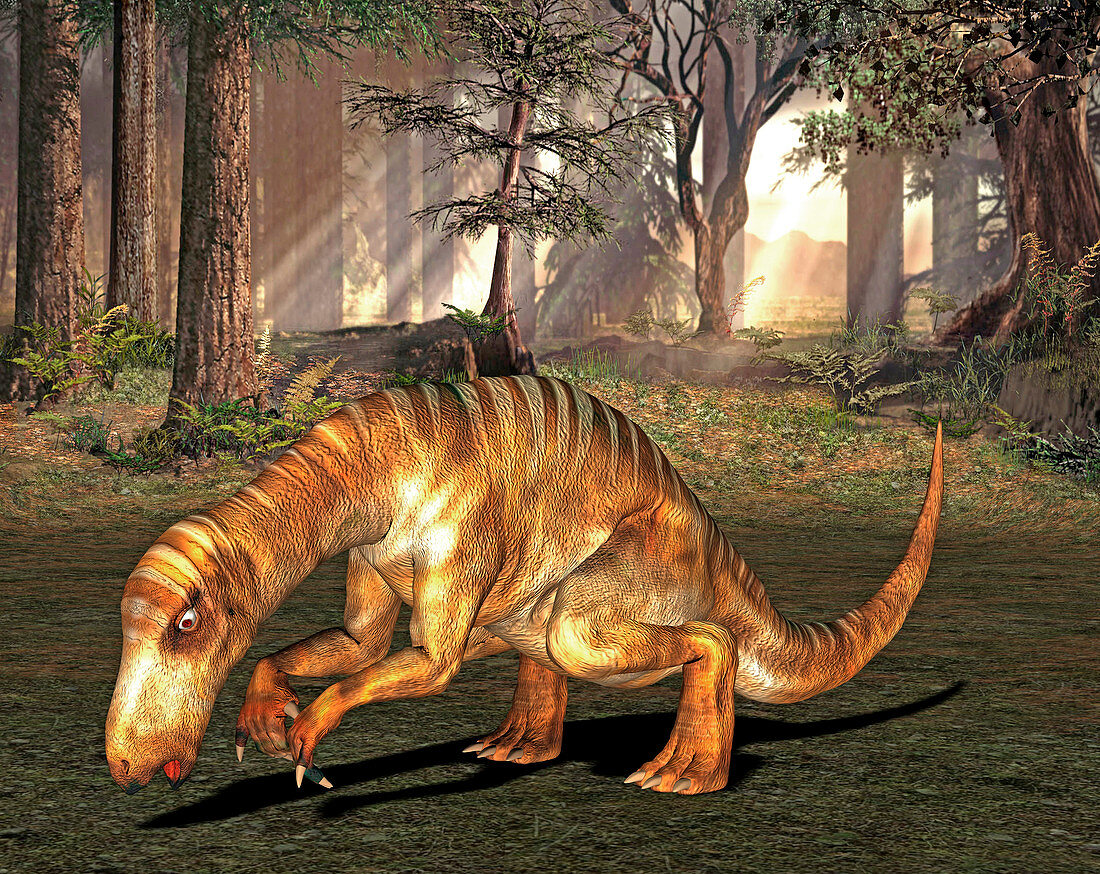 Iguanodon dinosaur,illustration