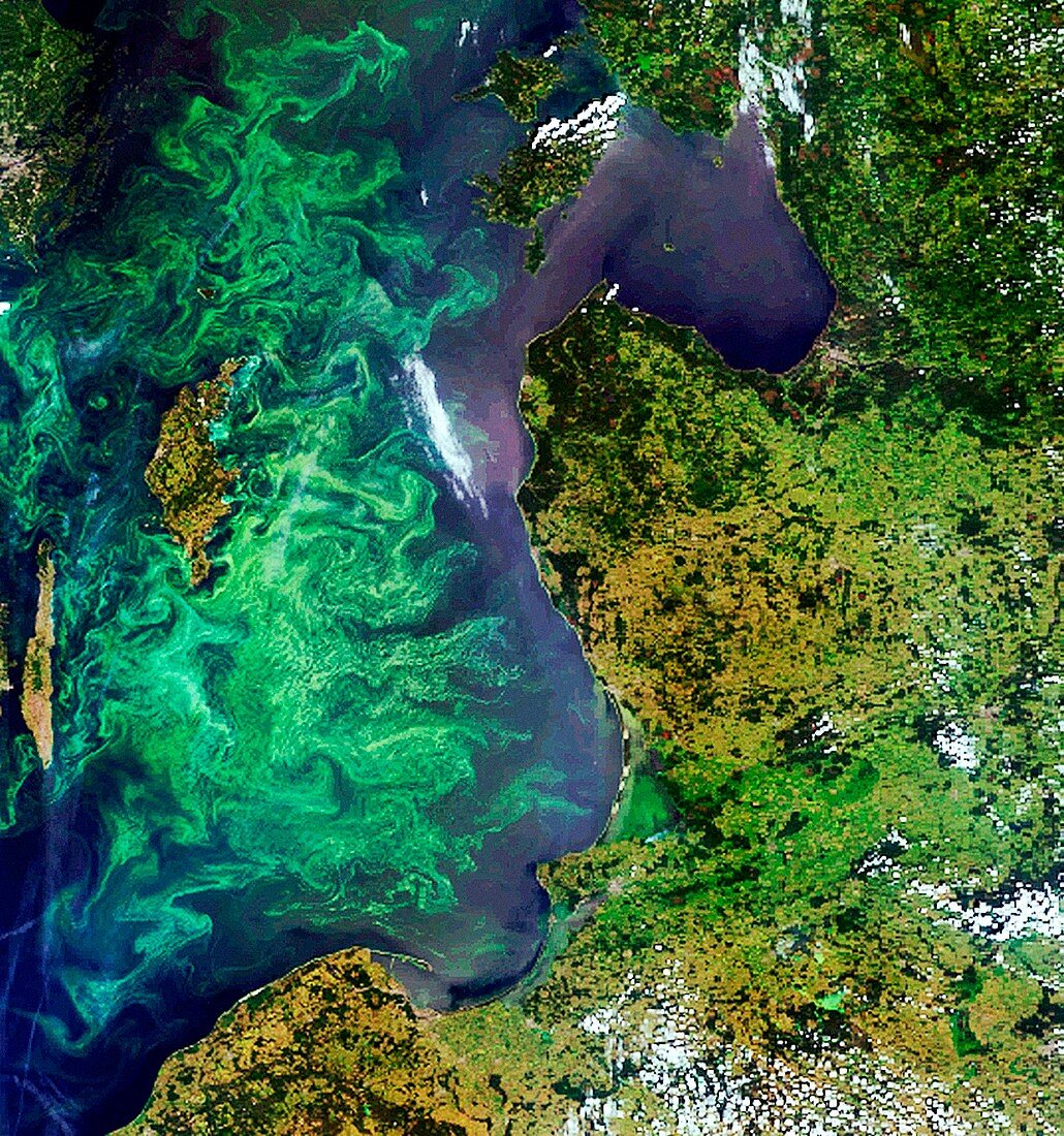 Algal blooms,Baltic Sea,satellite image