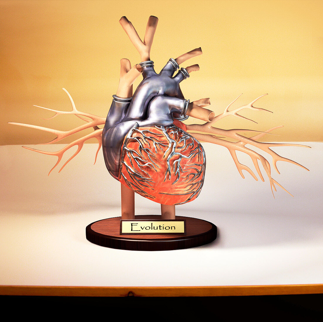 Bionic heart,conceptual illustration