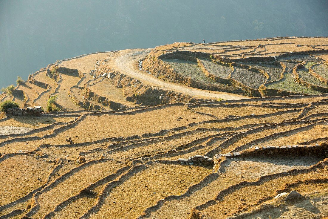 Subsistence farming,Nepal
