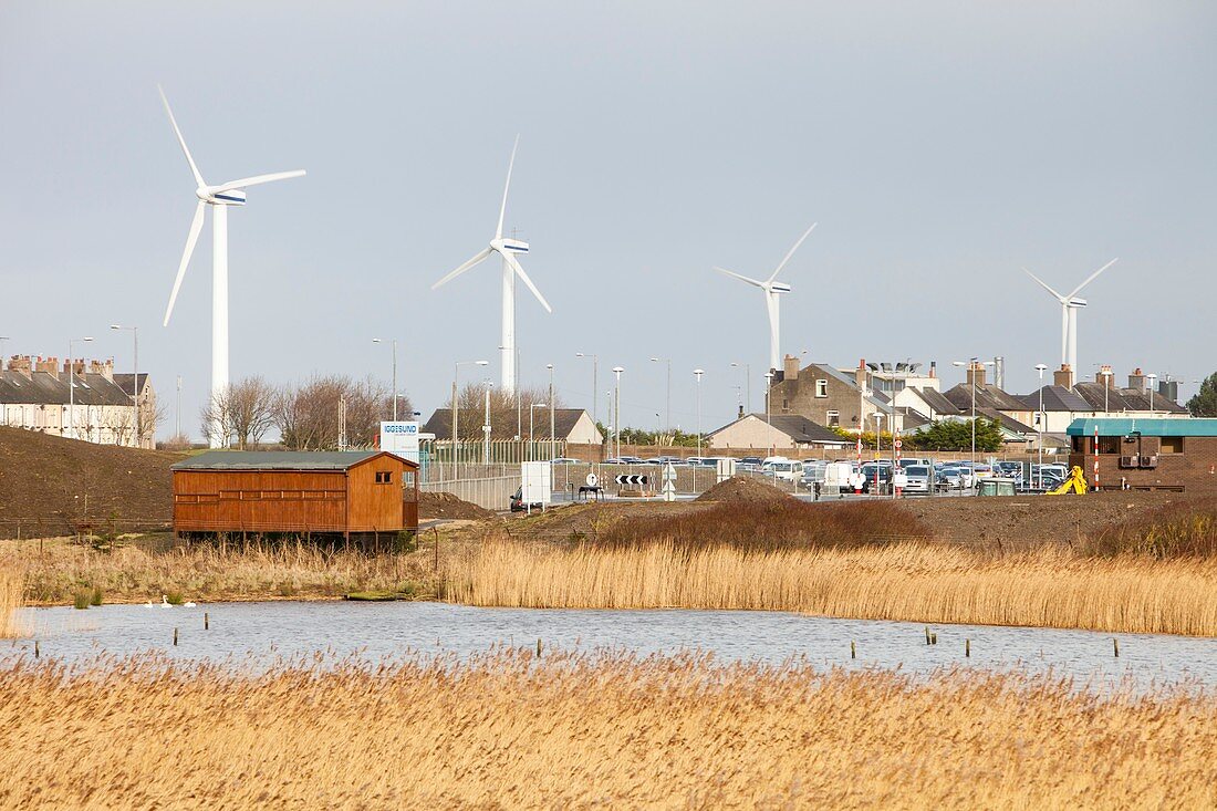 Wind turbines behind Siddick Pond