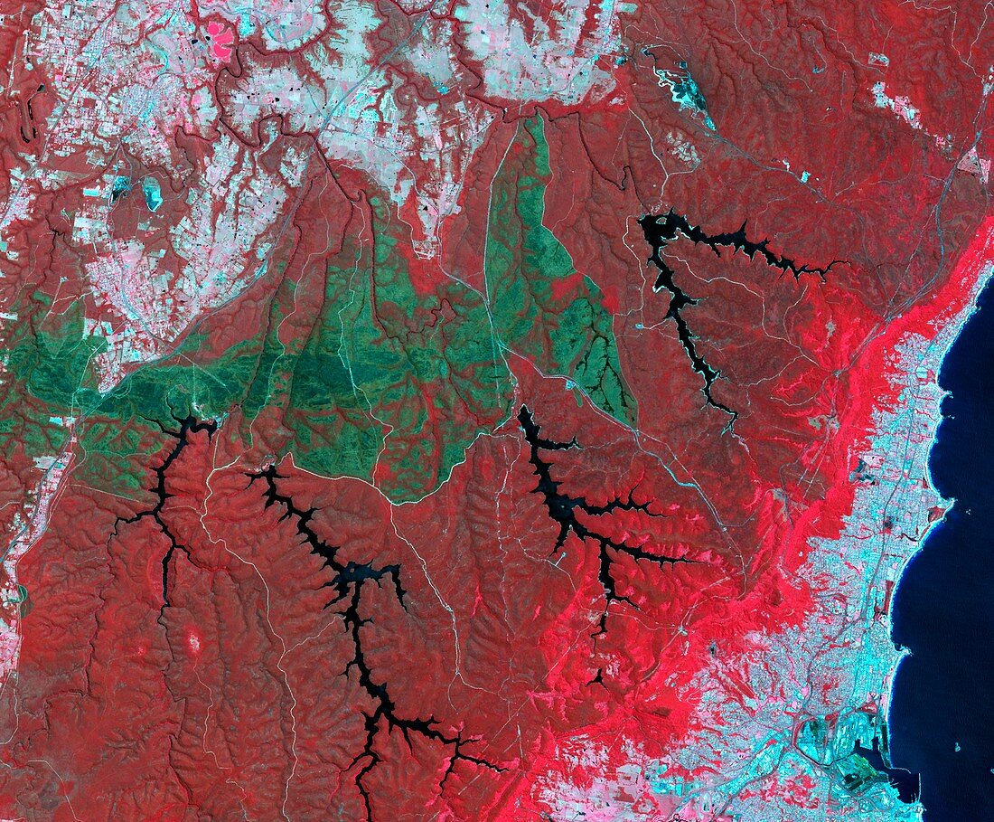 Australian wildfire scar,satellite image