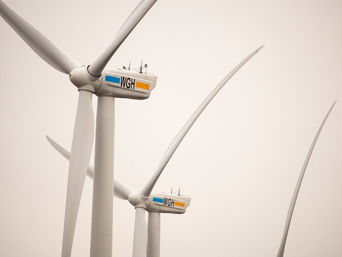 Wind farm in the Netherlands